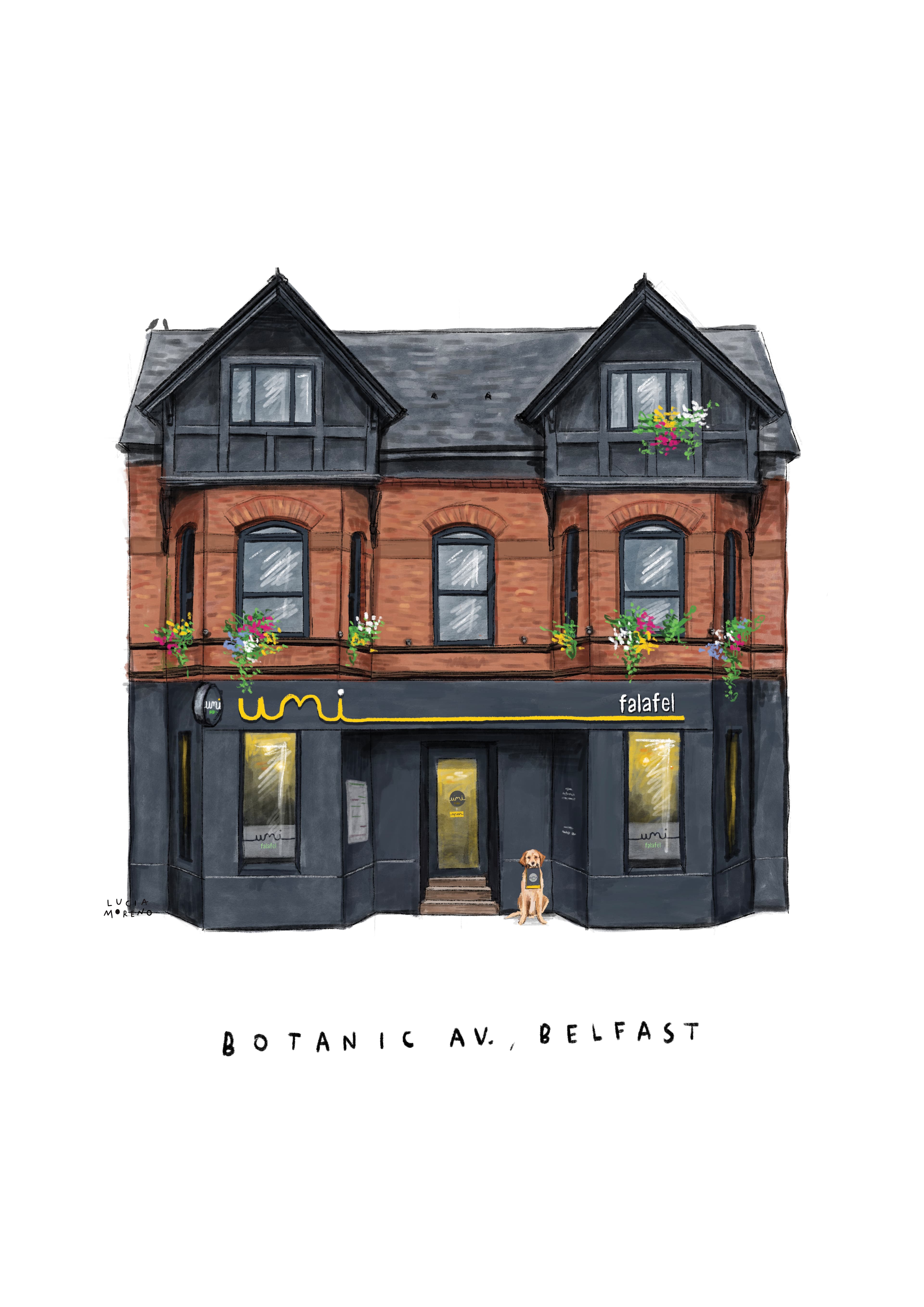 Illustration of the Umi Falafel shopfront on Botanic Avenue, Belfast